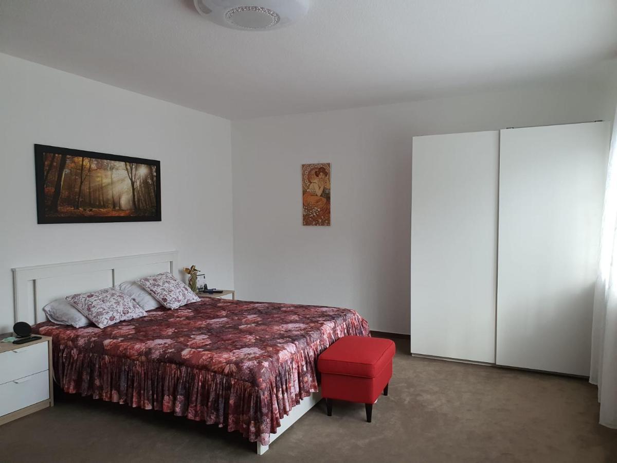 Hotel Garni Steinbacher Tal 하이델베르크 외부 사진
