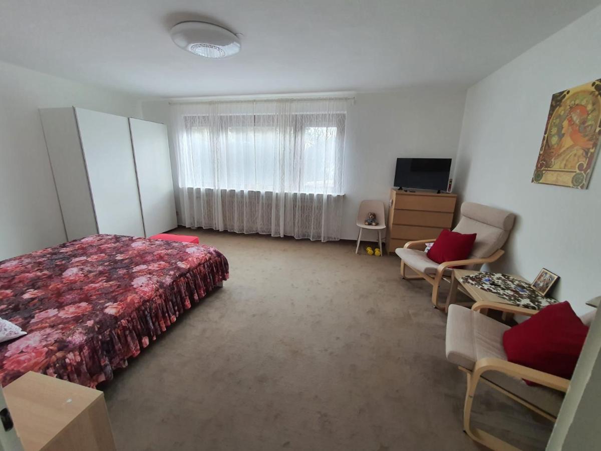 Hotel Garni Steinbacher Tal 하이델베르크 외부 사진