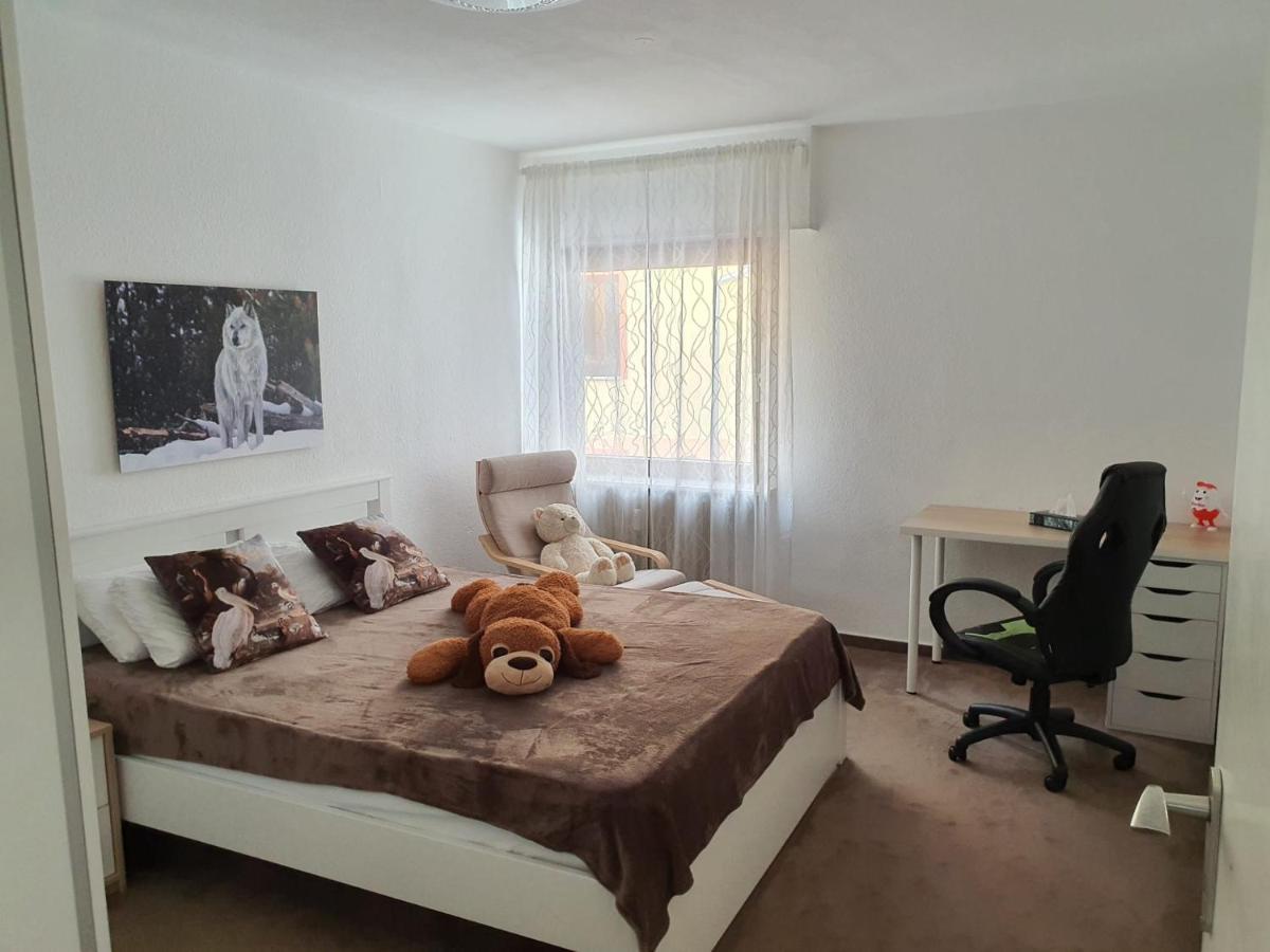 Hotel Garni Steinbacher Tal 하이델베르크 외부 사진